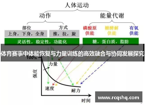 体育赛事中体能恢复与力量训练的高效融合与协同发展探究