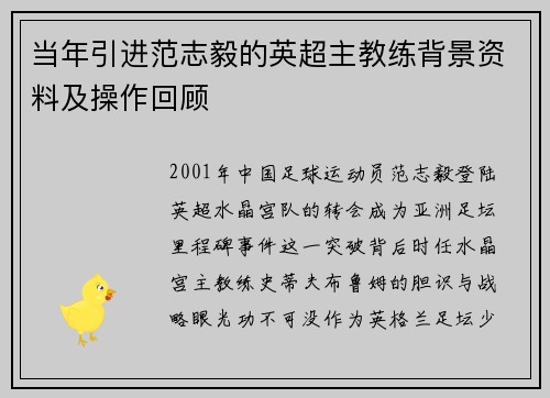 当年引进范志毅的英超主教练背景资料及操作回顾