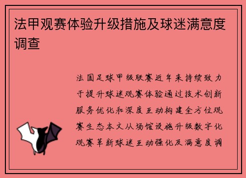 法甲观赛体验升级措施及球迷满意度调查